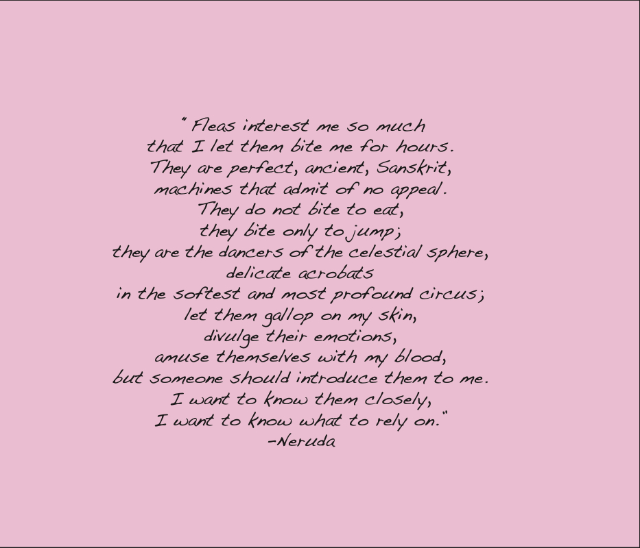 Blink by CamilleS